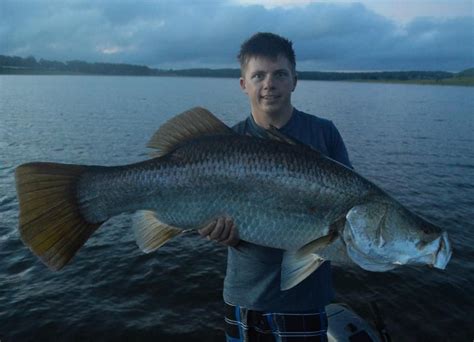 Beautiful fish on only 12 lb Platypus braid, Declan! | Beautiful fish ...