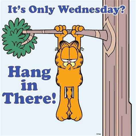 Pin by Ana Muñeca Palma on Garfield | Wednesday quotes, Morning quotes funny, Garfield quotes