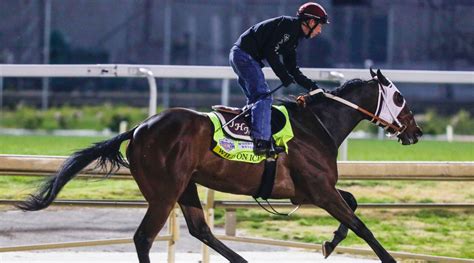 Kentucky Derby horse Wild on Ice dies nine days before race - Sports ...