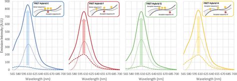 Fluorescence emission spectrum of the Texas Red acceptor in FRET ds-DNA... | Download Scientific ...