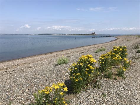 Enjoying the South Walney Island Nature Reserve - Adventures in ...