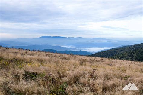 Roan Mountain: hiking the Appalachian Trail to Grassy Ridge