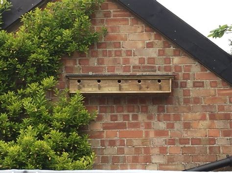 Sparrow Terrace Nesting Box | in Sudbury, Suffolk | Gumtree