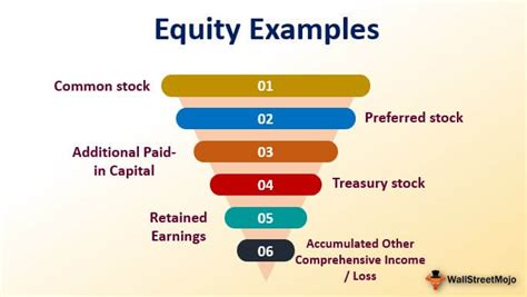 Equity Examples | Most Common Examples of Shareholders Equity