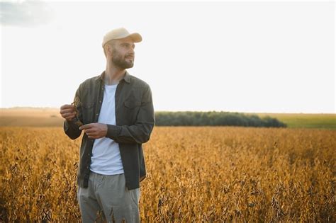 Premium Photo | Farmer standing in soybean field at sunset