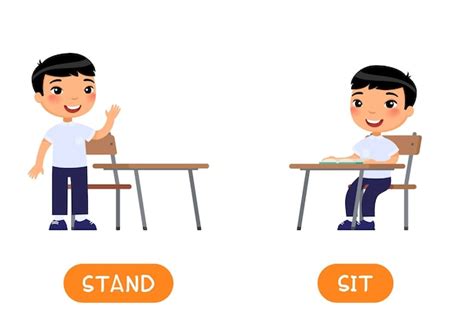 Concepto de opuestos STAND y SIT tarjeta de palabra educativa | Vector Premium