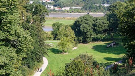 Visiting the park at Saltram | Devon | National Trust