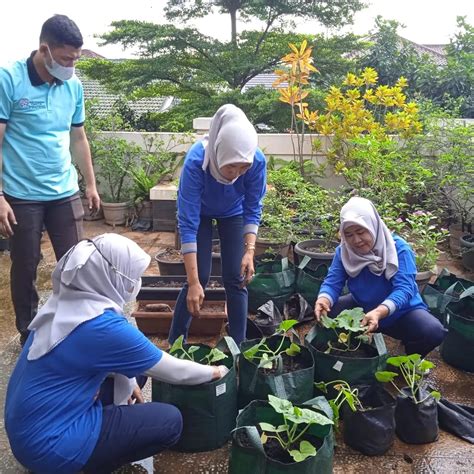 Wujudkan Ketahanan Keluarga, PKK Kembangan Budayakan Tanam Labu Madu - Poskotaonline