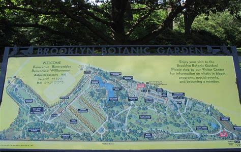 Brooklyn Botanic Garden, Prospect Park, Brooklyn