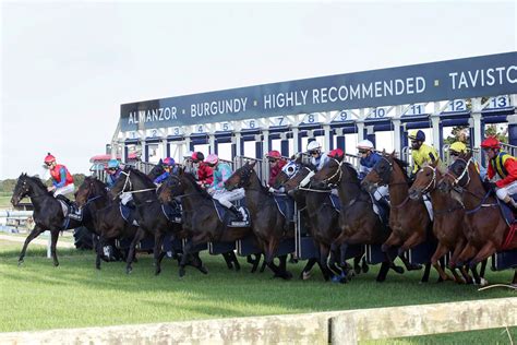 TAB Racing Club a new player in racehorse ownership | NZ Racing News