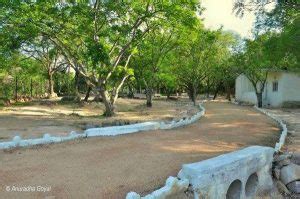 Shamirpet Lake And Around In Hyderabad - Inditales