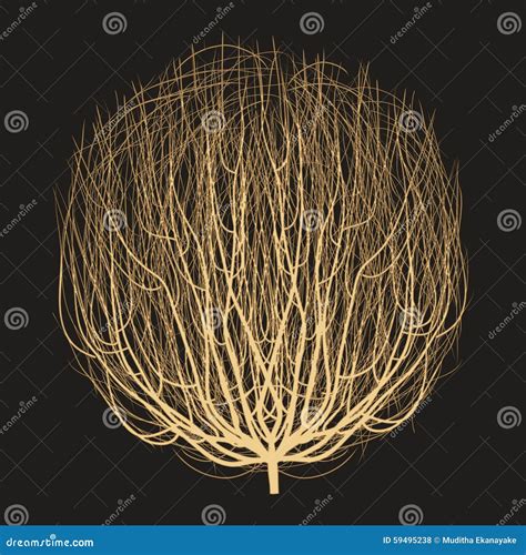 Tumbleweed Cartoon Vector | CartoonDealer.com #42232535