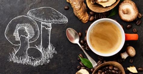 The Ultimate Guide to Mushroom Coffee: Benefits, Uses, and Recipes