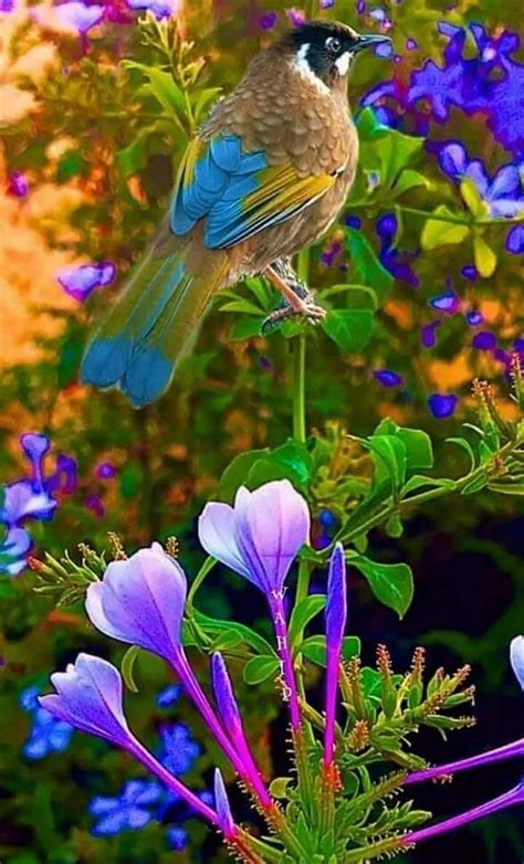 Beautiful Bird and Flower Wallpapers - Top Free Beautiful Bird and ...