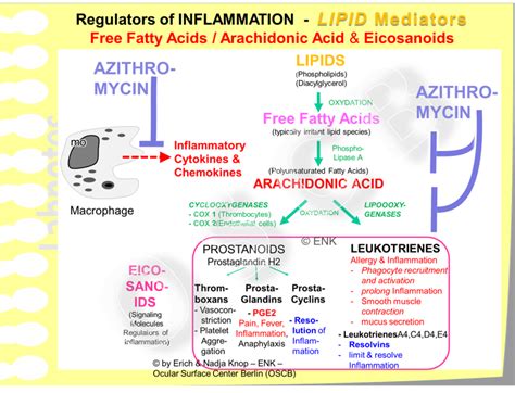 Deeper Insight THERAPY 5 - ANTI-INFLAMMATORY Therapy — Ocular Surface ...