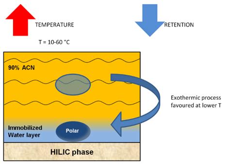 Column temperature in HILIC