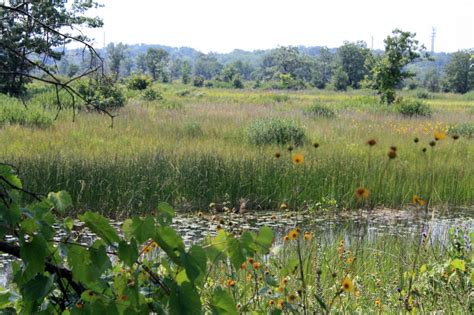 Illinois Beach State Park | More Organics