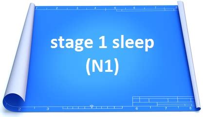 What is sleep architecture? (Stages and Cycles)