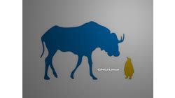 Wallpapers - GNU Project - Free Software Foundation