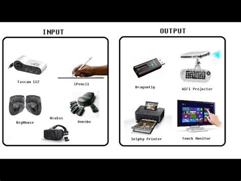 Output Devices Examples