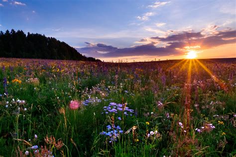 The Amazing National Parks of Colorado & Utah