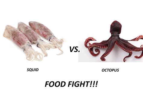 FOOD FIGHT!! EATEN ALIVE - Squid vs. Octopus - Chef's Mandala