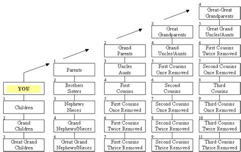 Chart Of Consanguinity