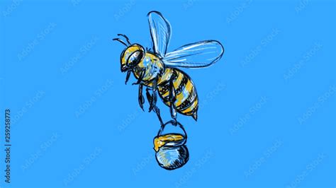 2d Animation motion graphics drawing of a honeybee, bumblebee or bee ...