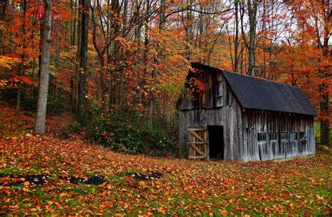 Autumn cabin in the wood wallpaper | nature and landscape | Wallpaper ...