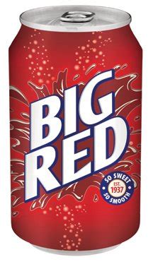 Buy Big Red Soda Soft Drink, 12 Fl Oz (Pack of 24) Online at desertcartUAE