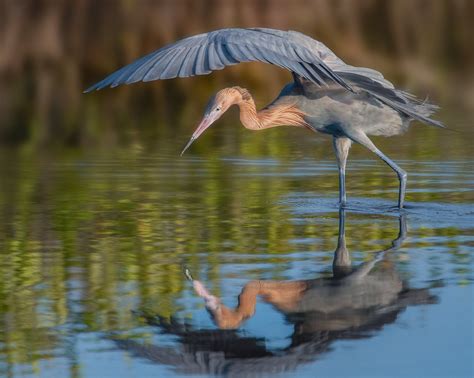 Florida Photo Tours and Workshops — Slonina Nature Photography