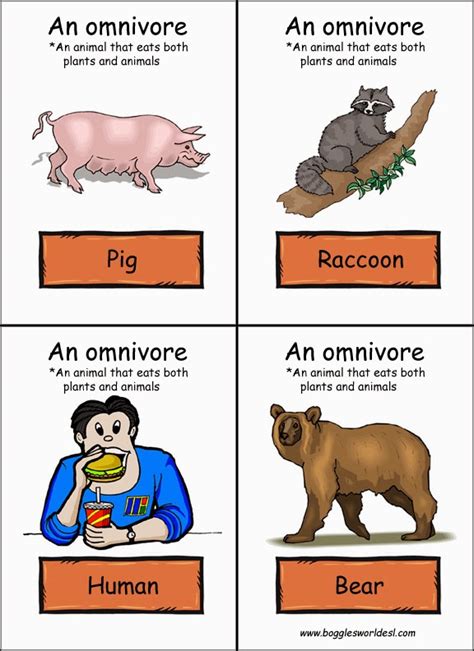 Carnivores, Herbivores, and Omnivores: Sample Student Work