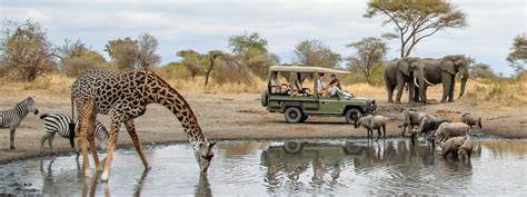 5-Day Tarangire, Serengeti, Ngorongoro and Manyara National Park