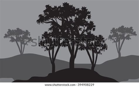 Silhouettes Three Trees Stock Vector (Royalty Free) 394908229 | Shutterstock