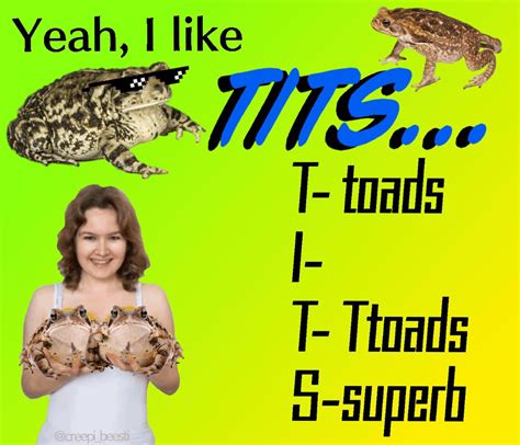 Toads : r/frogmemes