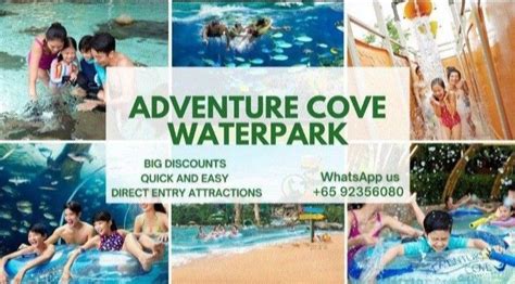 Adventure Cove Waterpark, Tickets & Vouchers, Local Attractions & Transport on Carousell