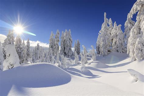 Canadian Winter Wallpapers - Wallpaper Cave