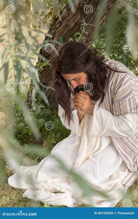 Jesus in Agony Praying in the Garden of Olives Stock Image - Image of mount, easter: 80790983