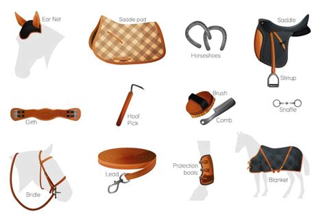 Vector equestrian horse equipment 13 items in 2 color