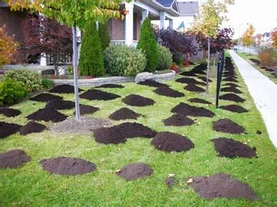 Step by Step Guide on How to Level Your Yard Without Ripping It Up