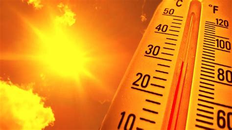 Survive a Heat Wave with These Cool Tips | heatwhiz.com