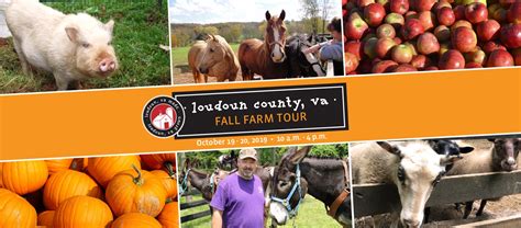 Celebrate the Harvest Season by Visiting Loudoun Farms - Loudoun County Economic Development, VA
