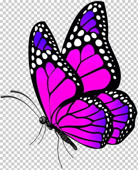 butterfly png hd images download - Clip Art Library