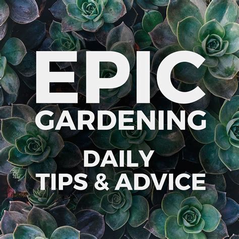 Epic Gardening: Daily Growing Tips and Advice by Kevin Espiritu | Urban Gardener, Hydroponics ...