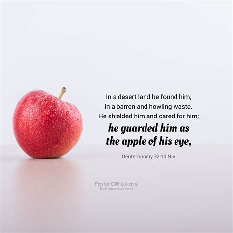 APPLE OF HIS EYE | Deuteronomy 32, Deuteronomy, Daily devotional