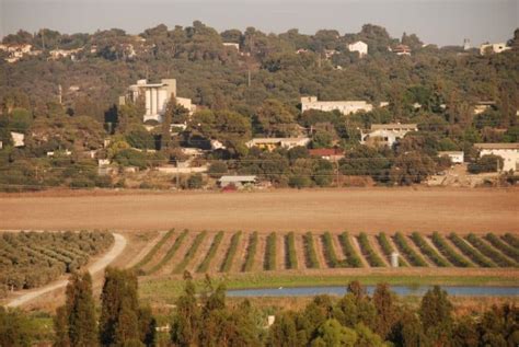 Life on a Kibbutz - Aardvark Israel