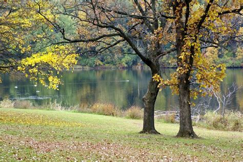 Rock Cut State Park In Loves Park, IL | America's State Parks