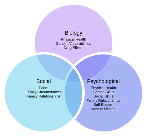 Biopsychosocial model - Wikipedia