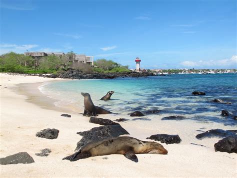 The Best Island in Galápagos is San Cristóbal Island in Ecuador