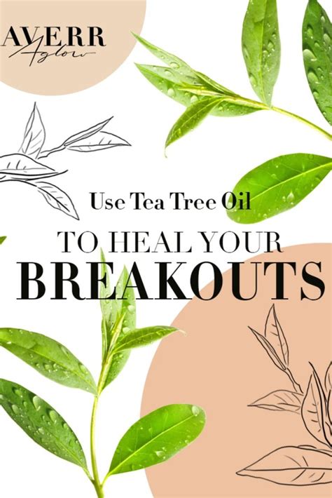 Tea Tree Oil for Acne: Your Questions Answered | Tea tree oil for acne, Tea tree oil, Tea tree